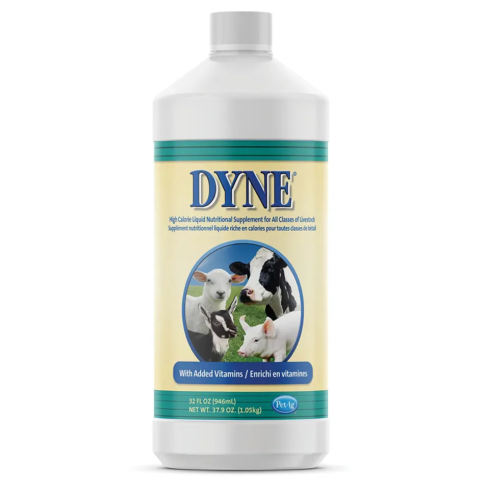 Dyne High Calorie Liquid for Livestock - Pet's Shop
