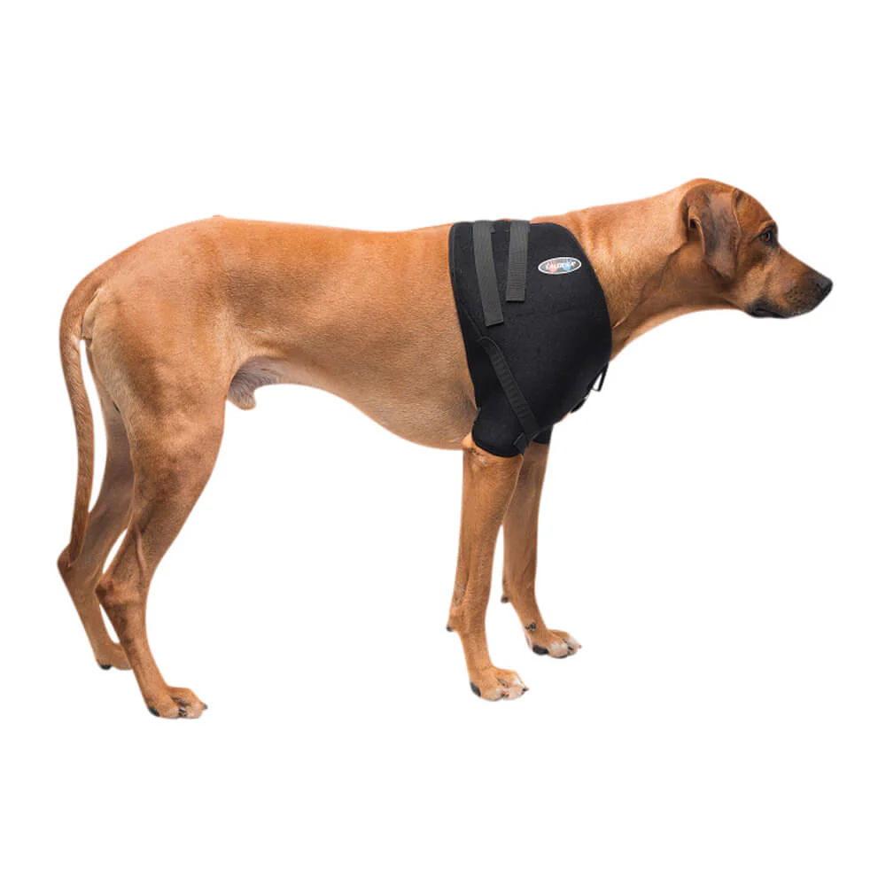 Caldera Pet Therapy Shoulder Wrap with Therapy Gel - Pet's Shop
