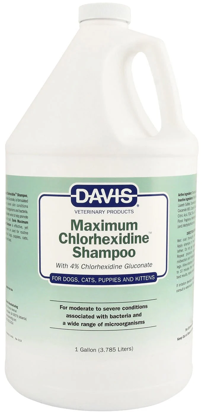 Davis Maximum Chlorhexidine (4%) Shampoo - Pet's Shop