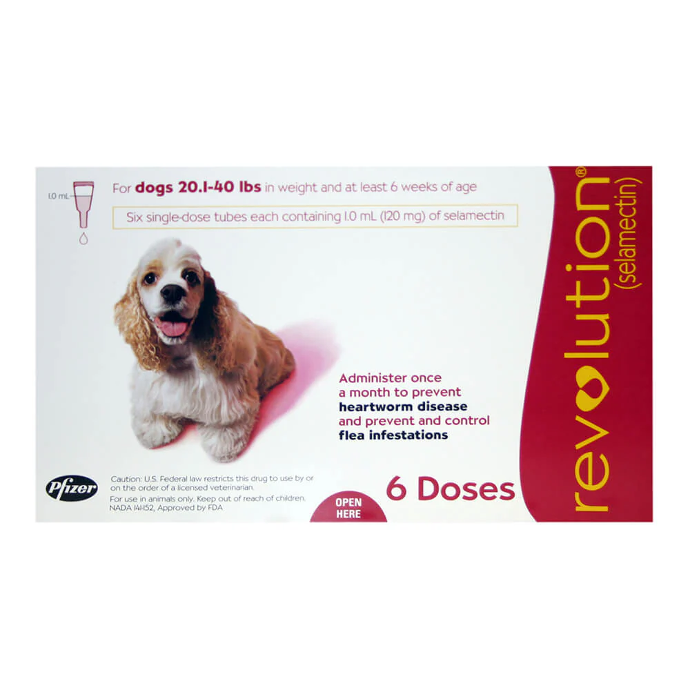 Revolution (selamectin) Canine One-a-month Flea Topical for Dogs - Pet's Shop
