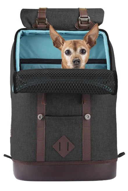 Kurgo K9 Rucksack Pet Carrier - Pet's Shop