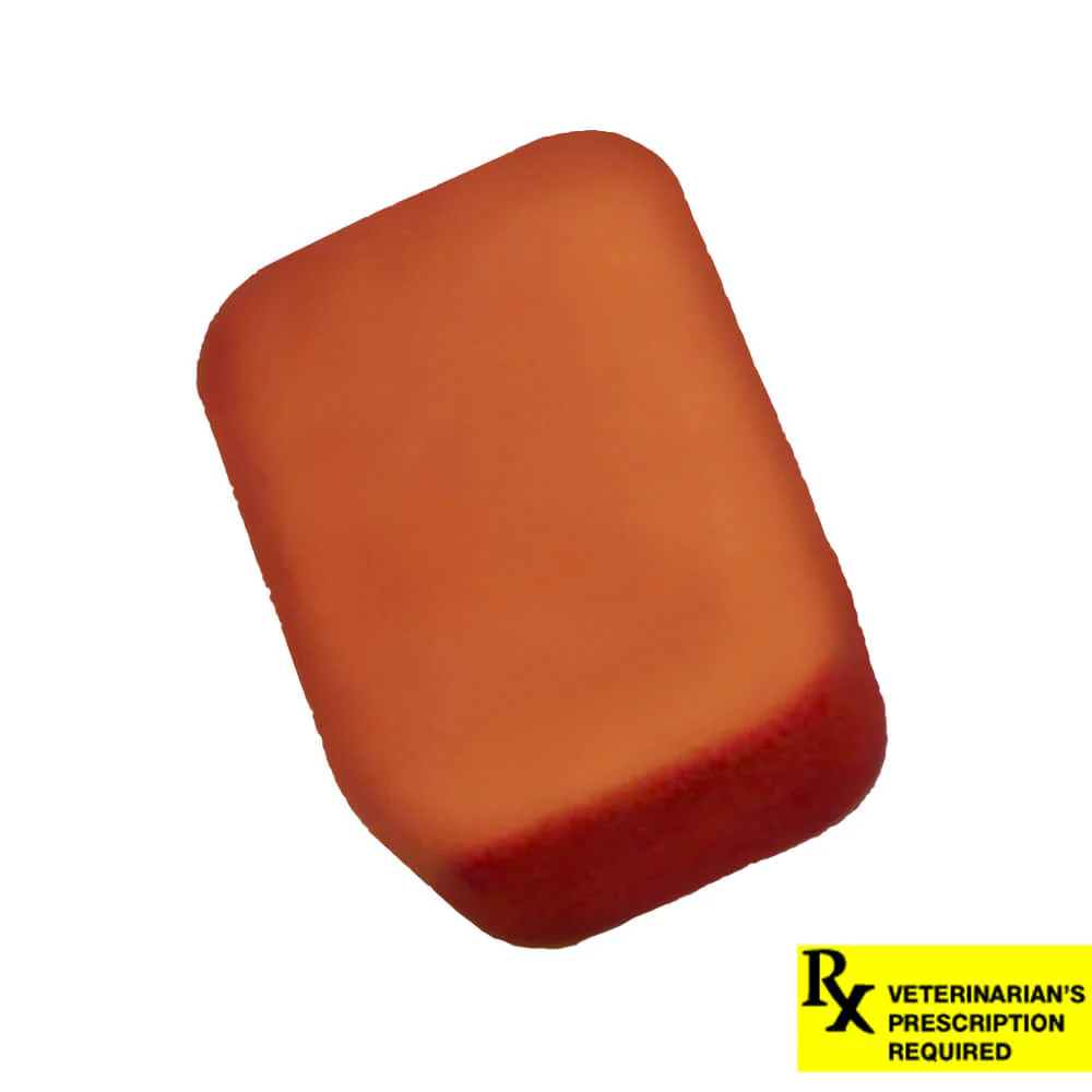 NexGard Flea and Tick Chewables for Dogs - Pet's Shop