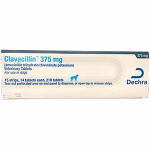 Rx Clavacillin (amoxicillin trihydrate/clavulanate potassium) Tablets for Dogs - Pet's Shop