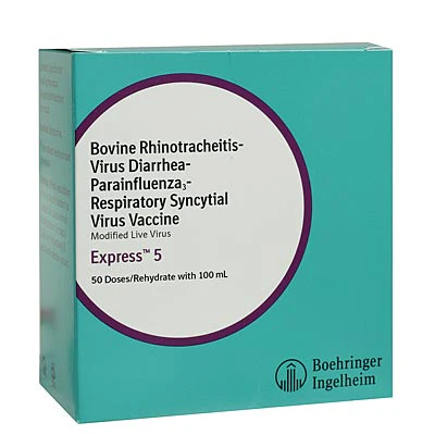 Express 5 - Pet's Shop