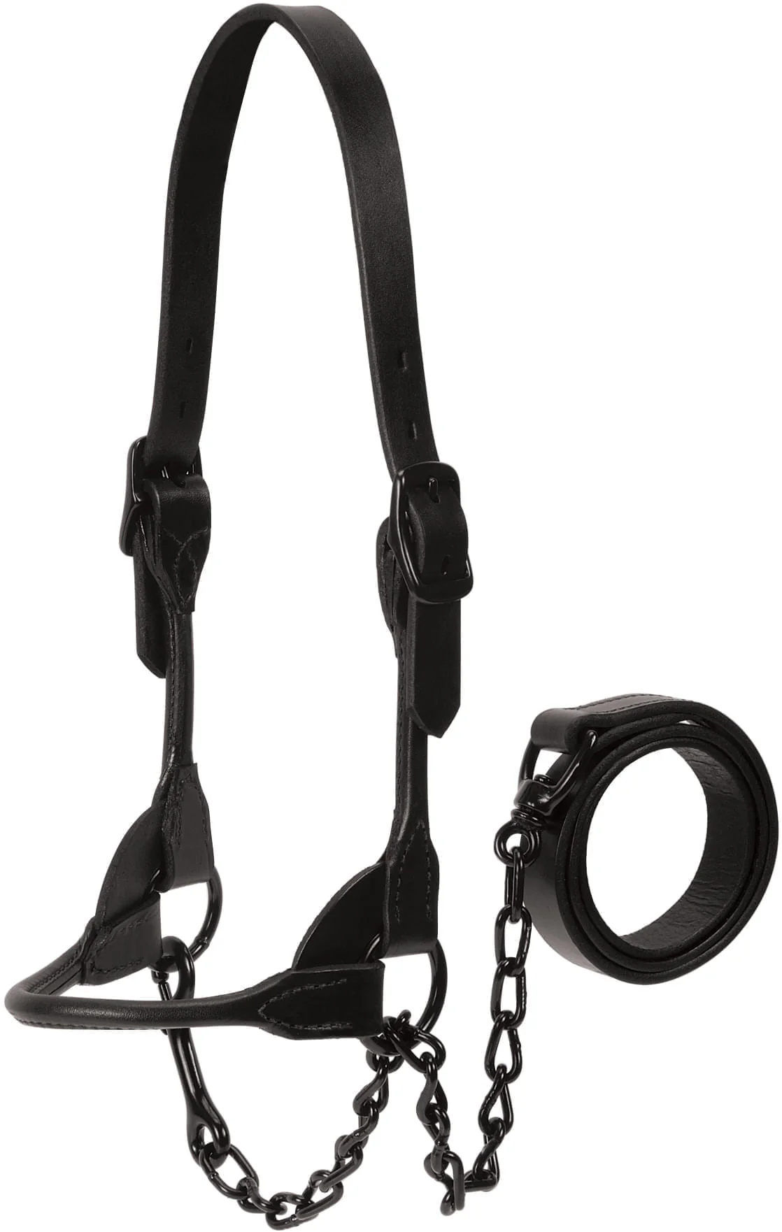 Kirk Stierwalt Black Magic Show Halter - Pet's Shop