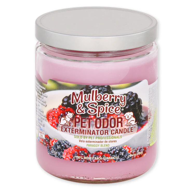 Pet Odor Exterminator Candle, Mulberry & Spice, 13 oz - Pet's Shop