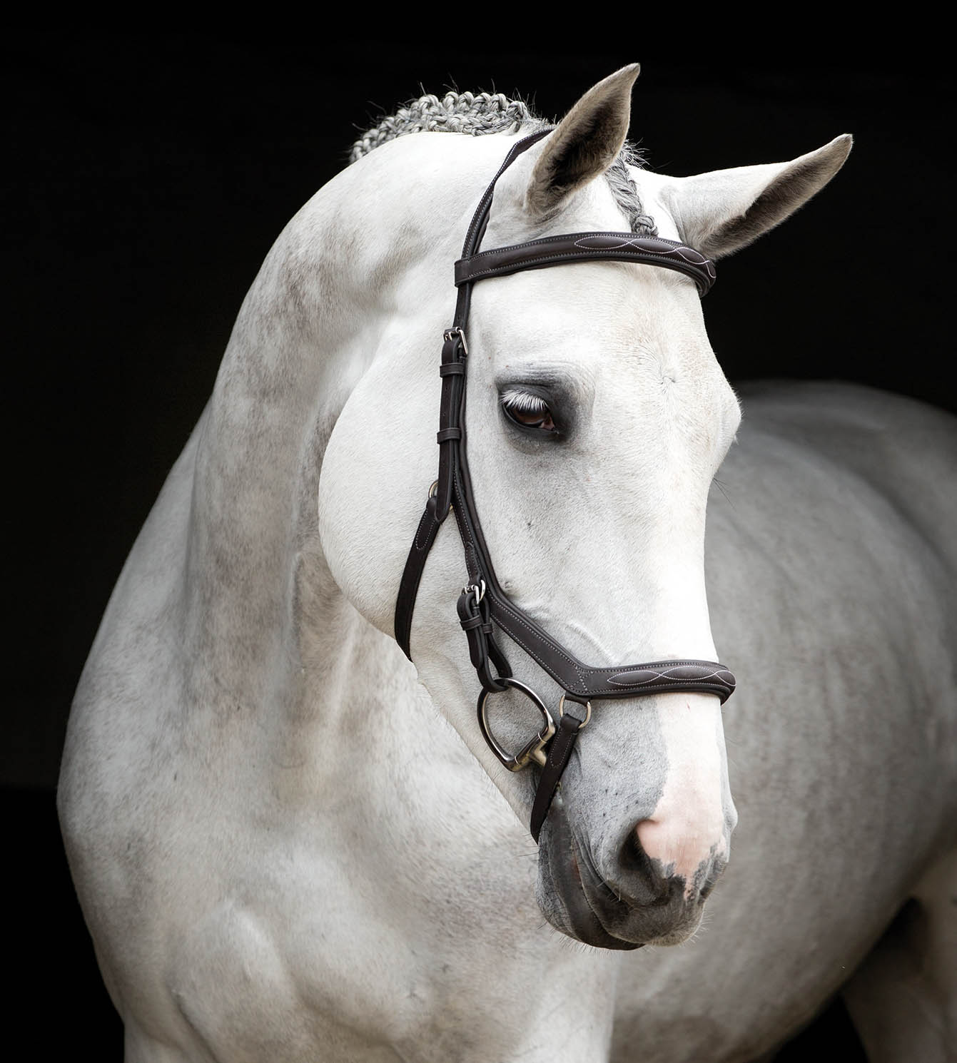 Rambo Micklem Deluxe Competition Bridle, Dark Havana - Pet's Shop