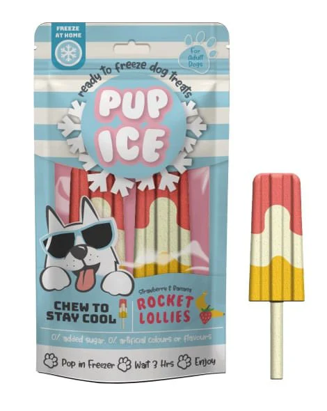 Pup Ice Rocket Lollies, 2pk - Pet's Shop