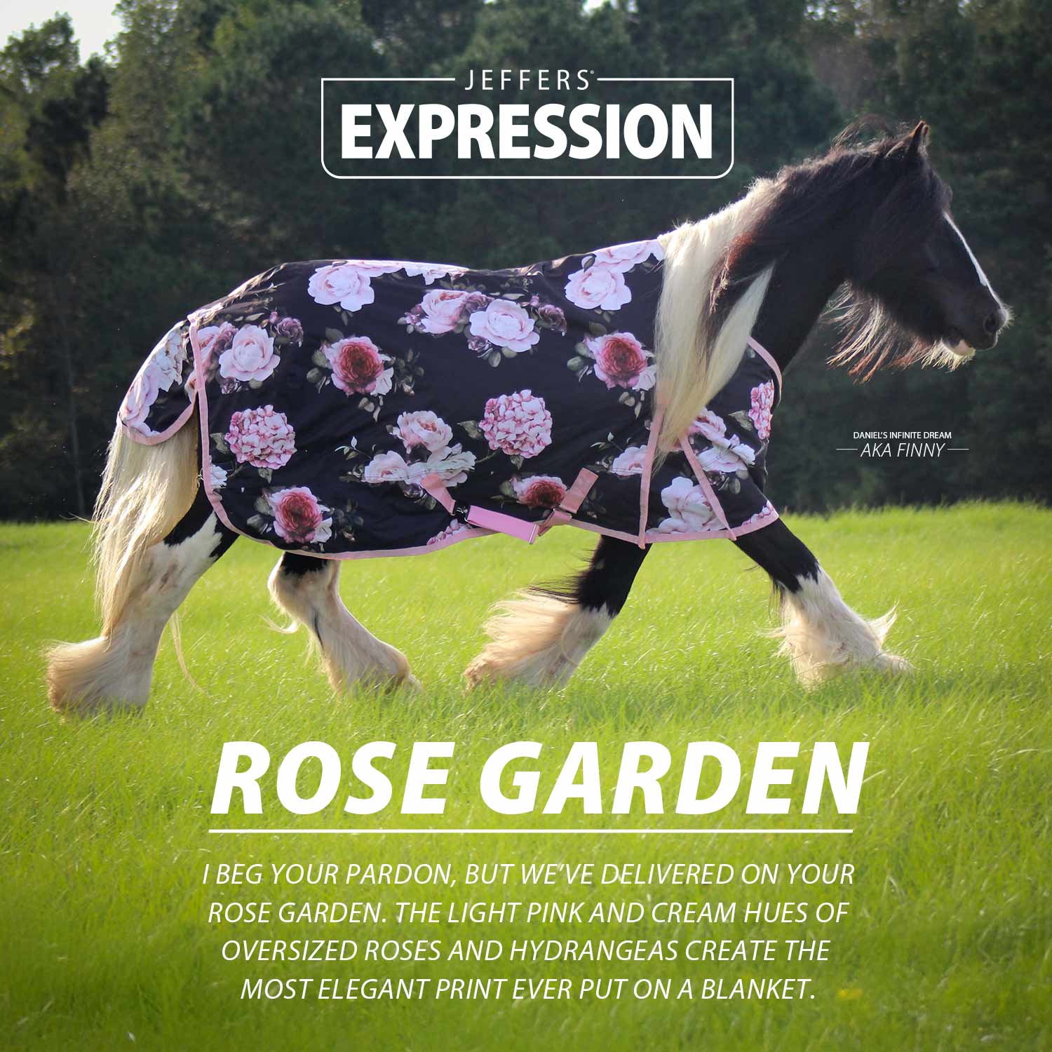Expression 1200 Denier Standard Neck Turnout Blanket, 240 Gram, Rose Garden - Pet's Shop