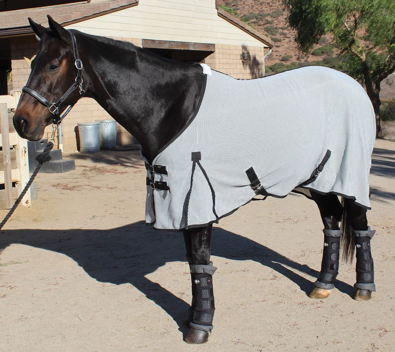 Professional's Choice Theramic Therapy Horse Sheet - Pet's Shop