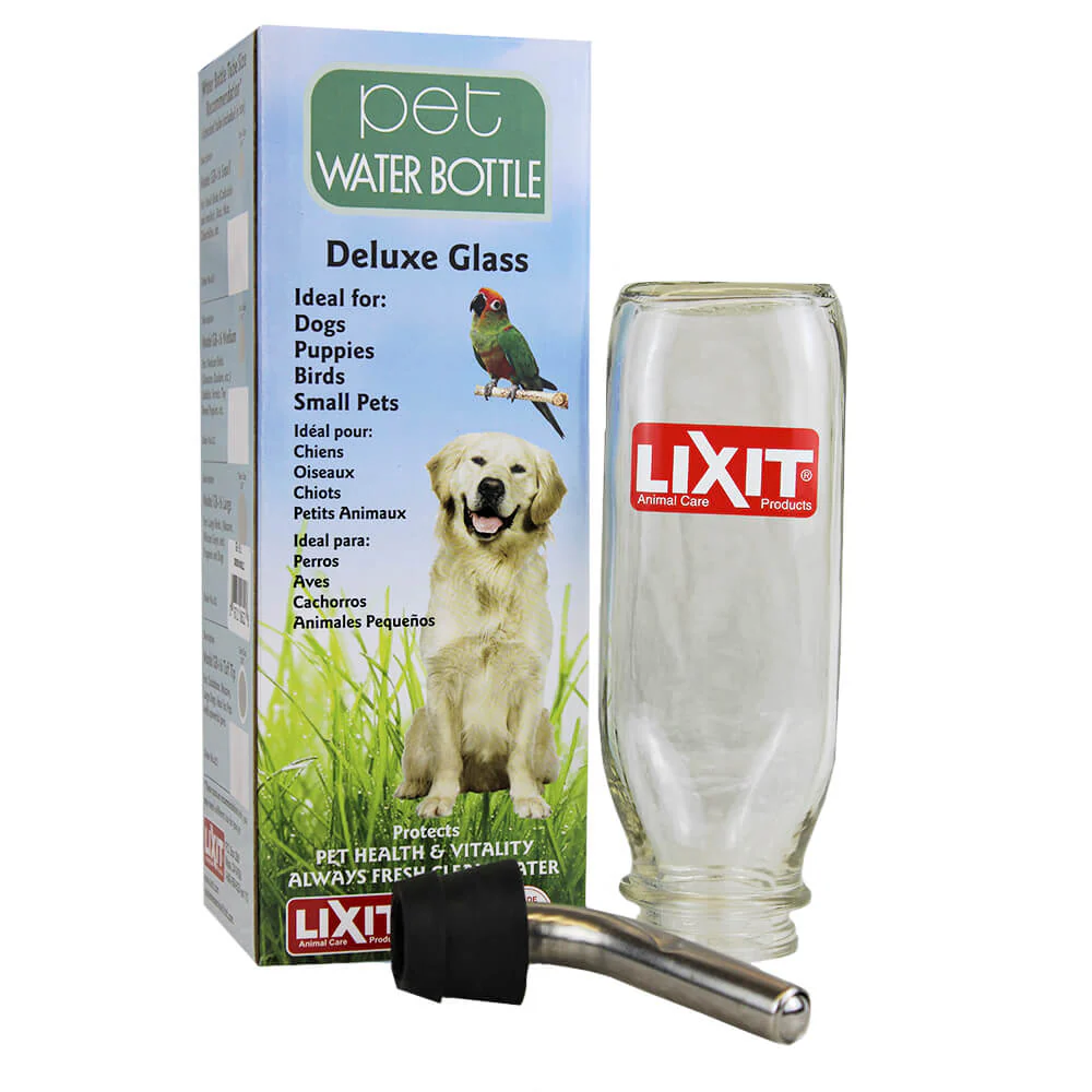 Lixit Glass Water Bottle, 16 oz with Tube - Pet's Shop