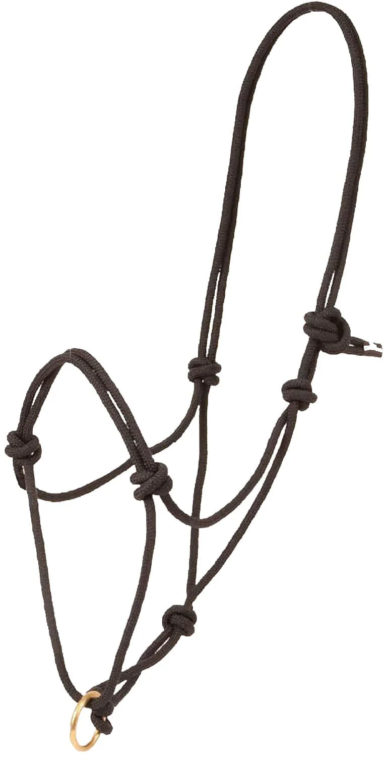 Poly Rope Halter with Brass Plated Lead Ring - Pet's Shop