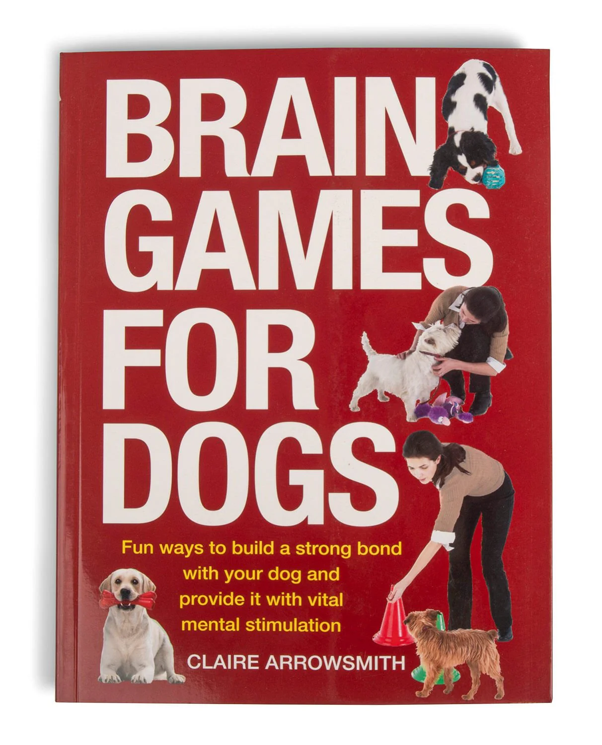 Brain Games For Dogs - Pet's Shop