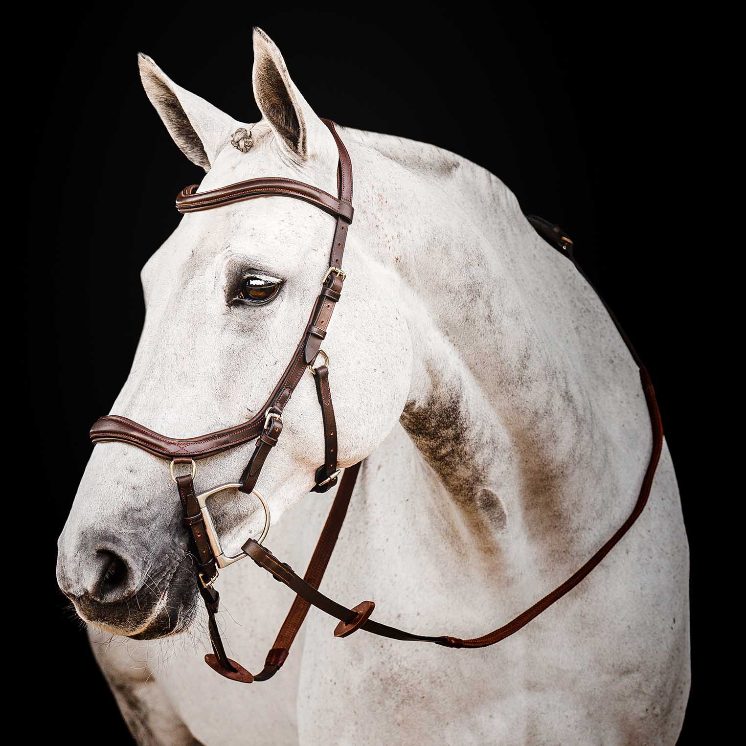 Micklem 2.0 Deluxe Competition Bridle, Havana - Pet's Shop