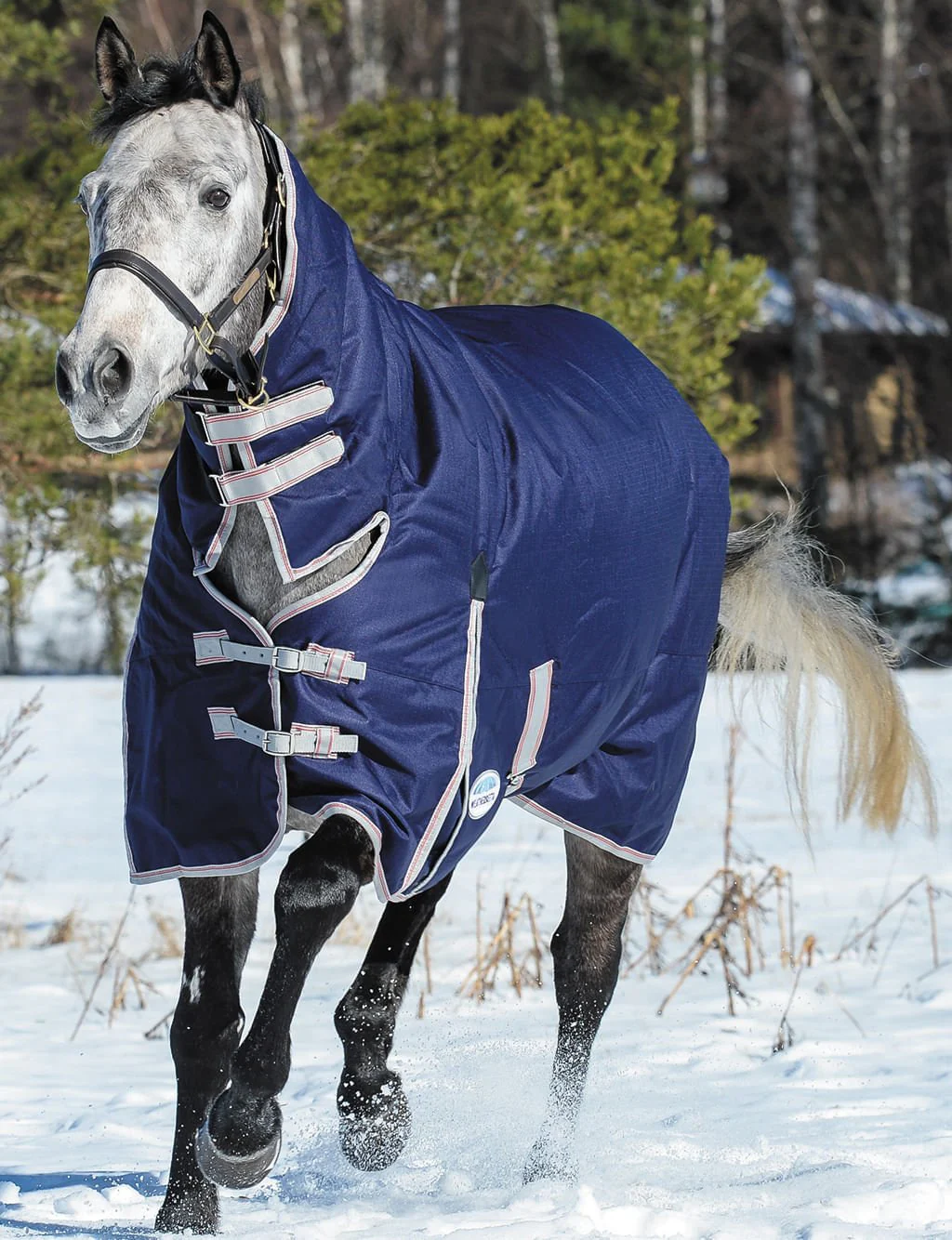 WeatherBeeta ComFITec Essential Combo Neck Heavy Weight Horse Blanket - Pet's Shop