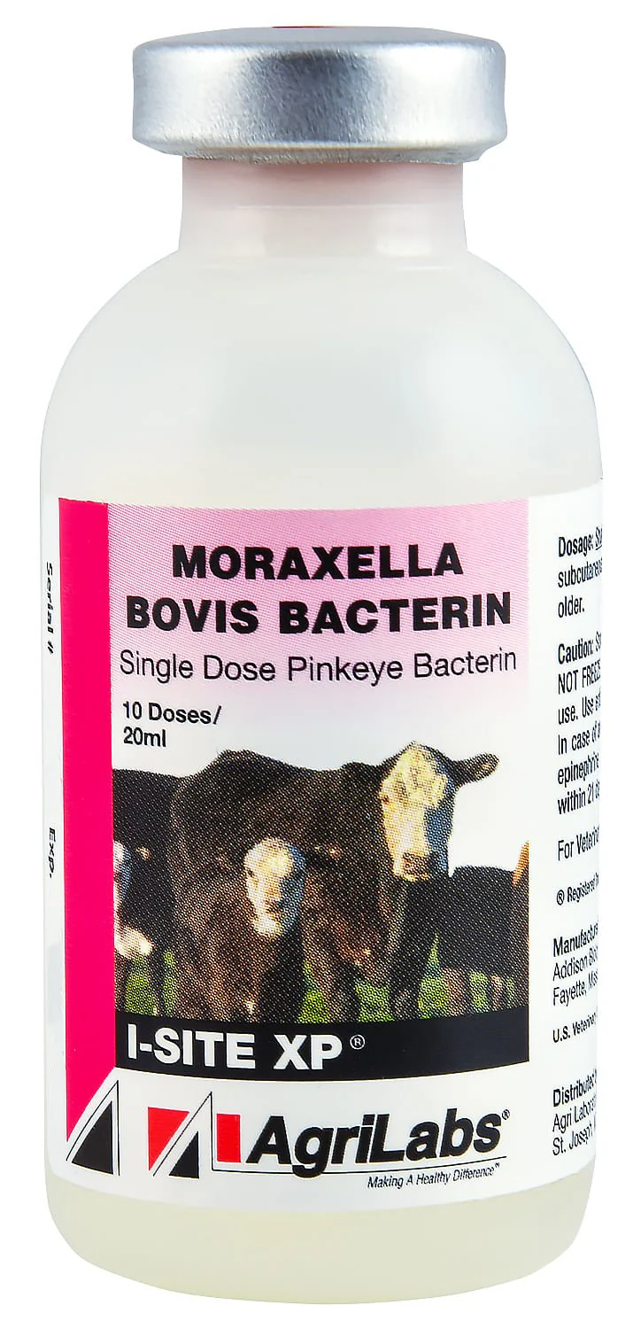 I-SITE XP - Pet's Shop