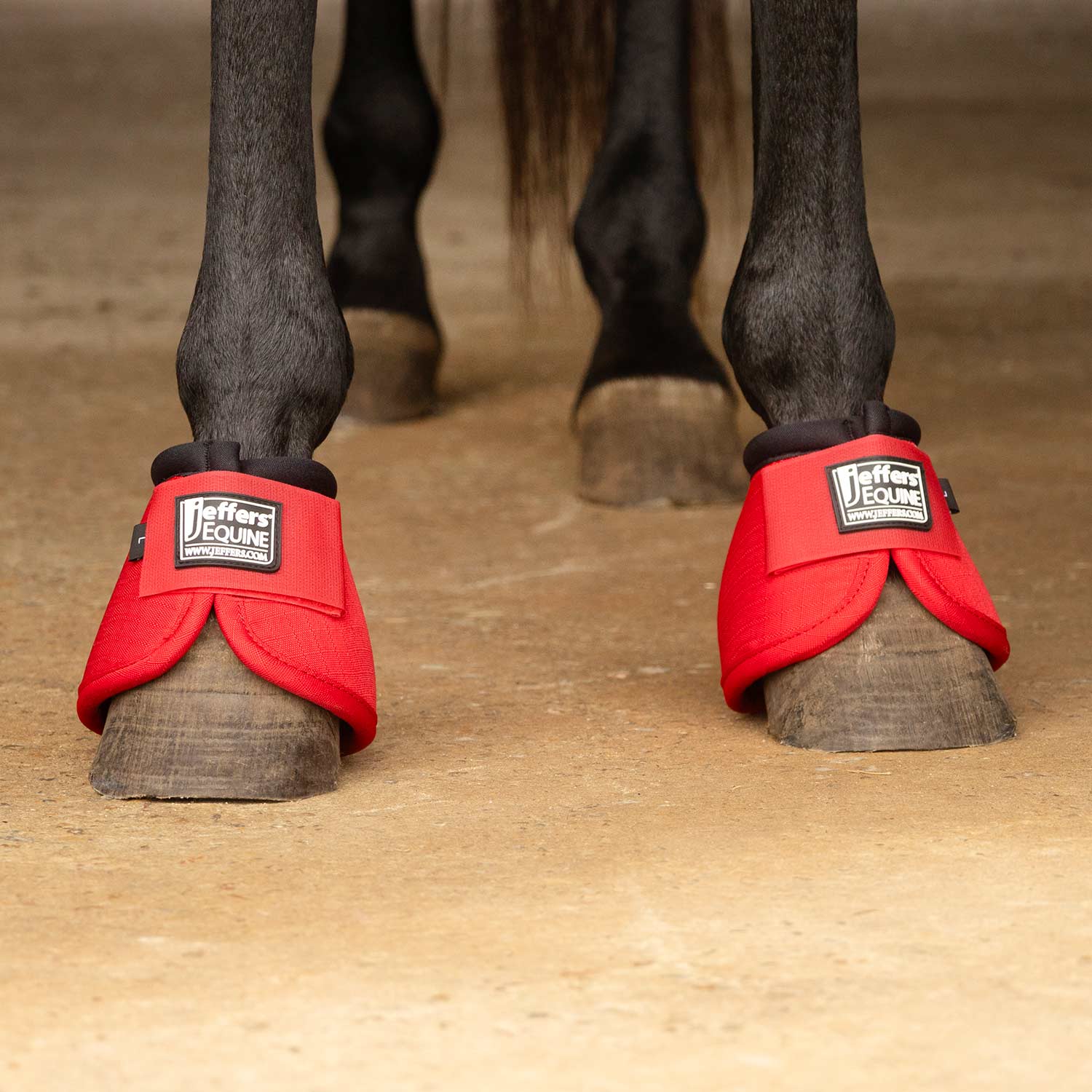 Bell Boots for Horses - Pet's Shop