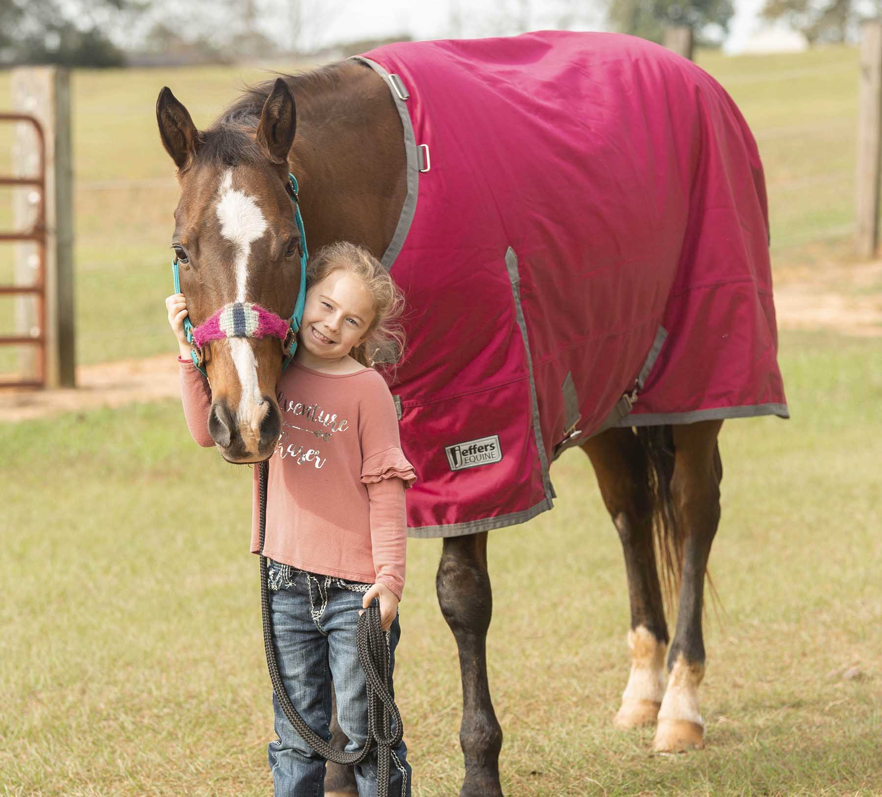 Romper Stomper Horse Turnout Sheet, 1680 Denier, Maroon/Gray - Pet's Shop