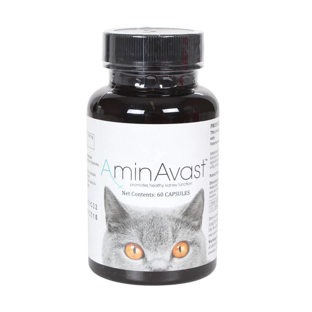 AminAvast for Cats, 60 Capsules - Pet's Shop