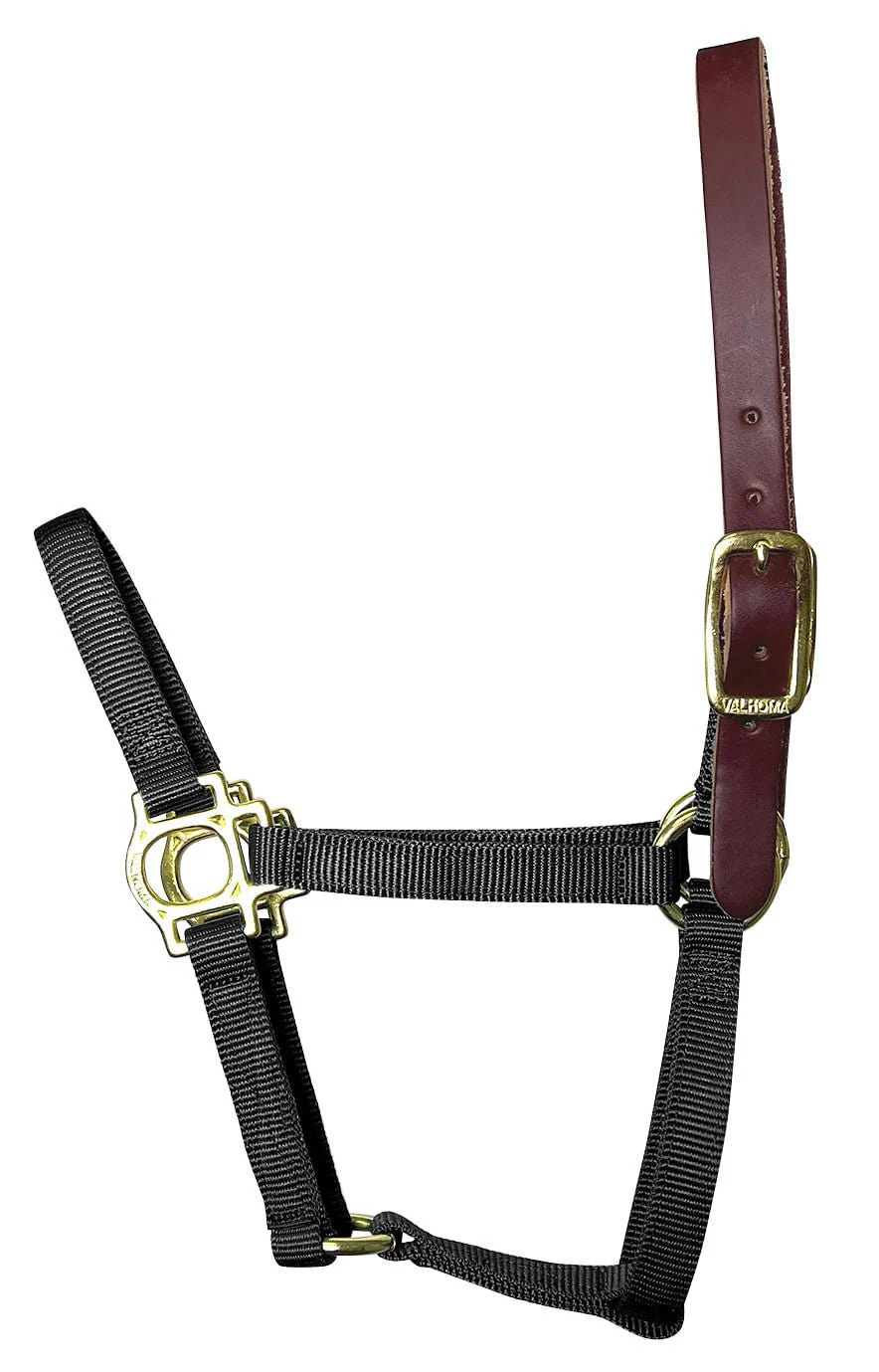 Valhoma Foal & Yearling Premium Breakaway Nylon Halter with Leather Crown - Pet's Shop