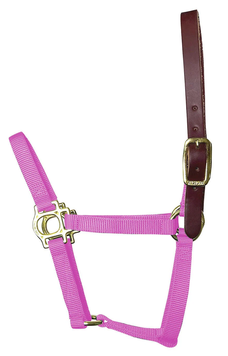 Valhoma Foal & Yearling Premium Breakaway Nylon Halter with Leather Crown - Pet's Shop
