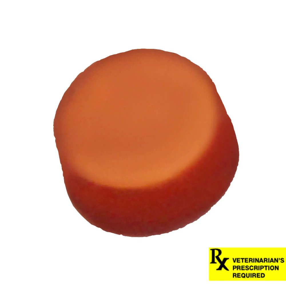 NexGard Flea and Tick Chewables for Dogs - Pet's Shop