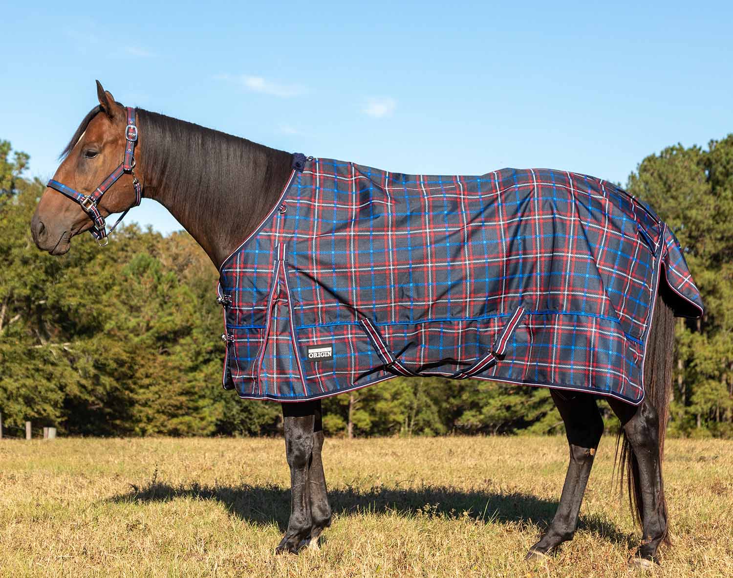 Poplar Head Origin 600 Denier Turnout Blanket, 240 Gram, Navy and Merlot Plaid - Pet's Shop