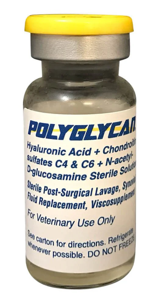Polyglycan for Horses, 10 mL vial - Pet's Shop