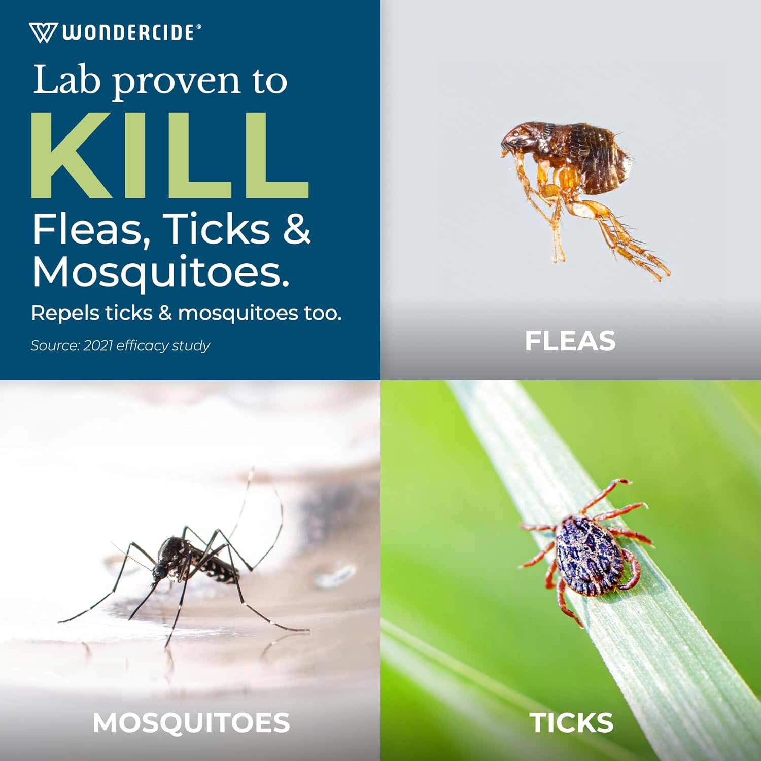 Wondercide Flea, Tick & Mosquito Control Concentrate for Yard + Garden - Pet's Shop