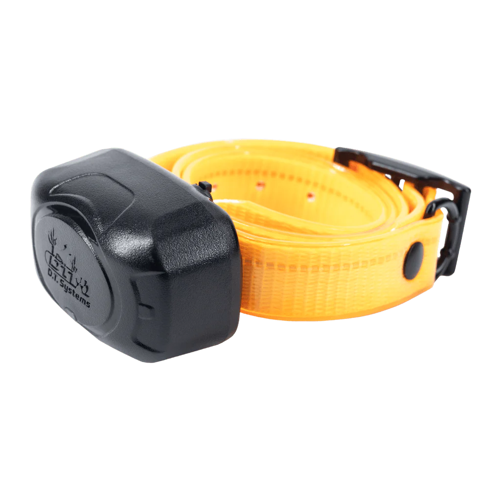 D.O.G DIrector 700, Add-On Collar - Pet's Shop