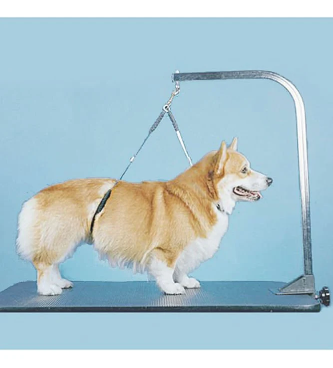 Proguard No-Sit Haunch Holder - Pet's Shop