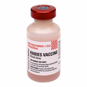 Nobivac 1-Rabies Vaccine, 10 mL Vial, No Tags - Pet's Shop