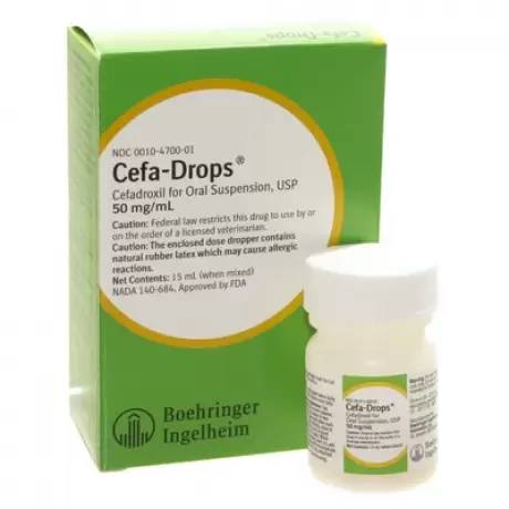 Rx Cefa-Drops (cefadroxil) for Cats & Dogs, 50mg/ml x 15ml - Pet's Shop