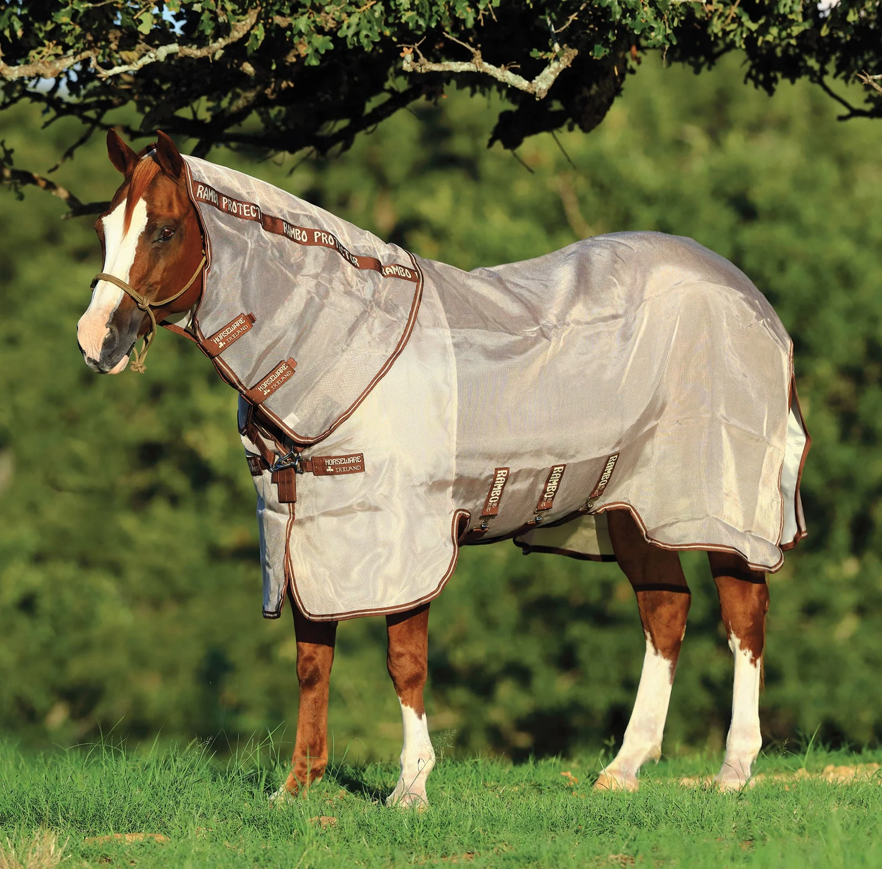 Rambo Protector Horse Fly Sheet - Pet's Shop