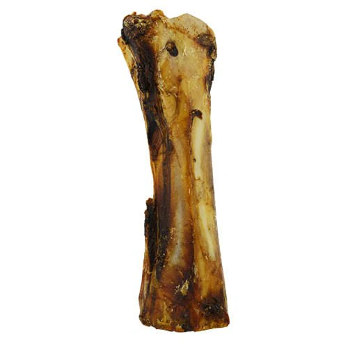 XL Beef Marrow Bone Bulk - Pet's Shop