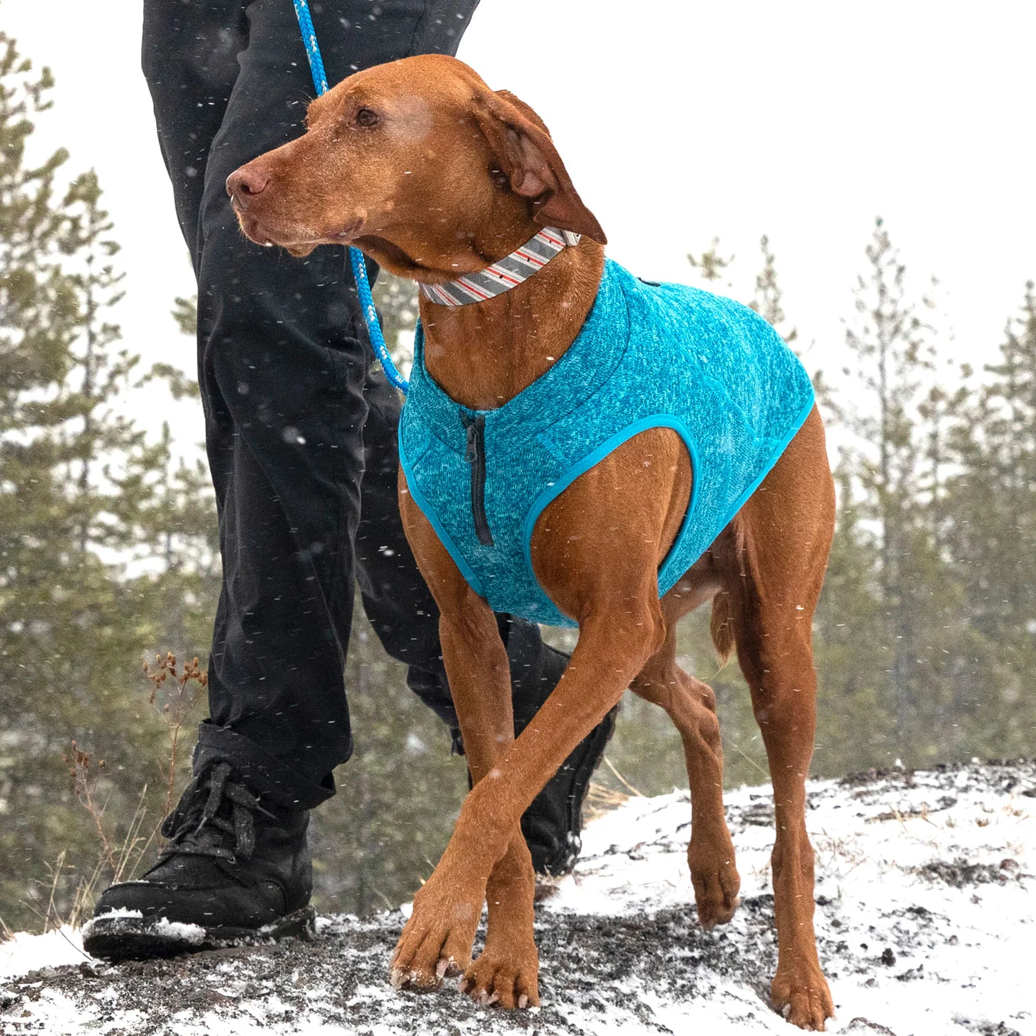 Kurgo K9 Core Sweater - Pet's Shop