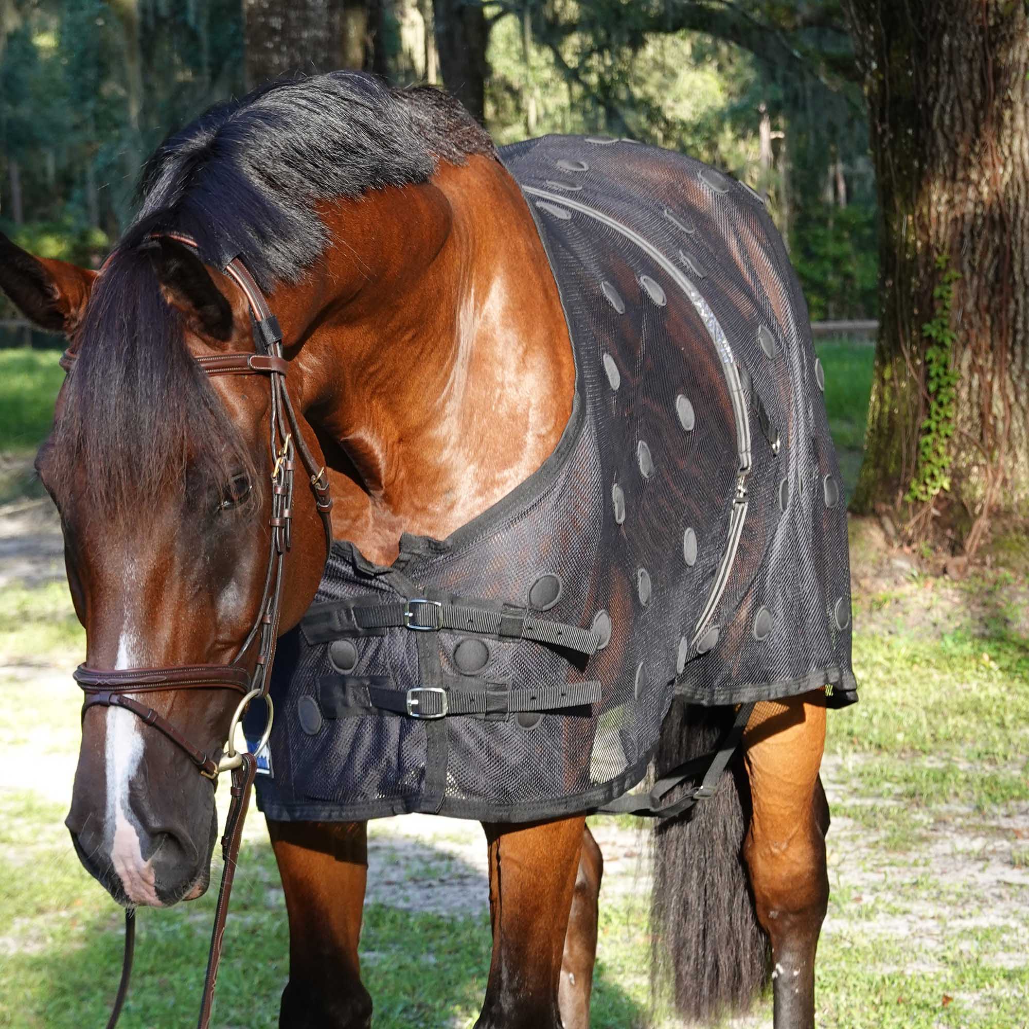 BeneFab Rejuvenate Magnetic Horse Therapy SmartScrim, Black - Pet's Shop