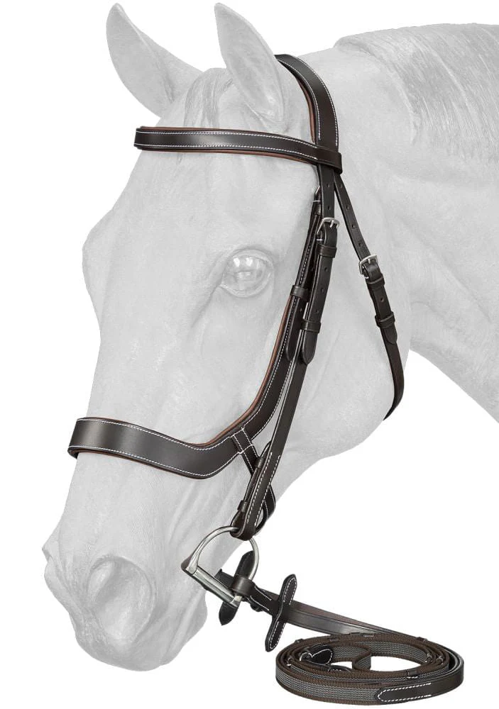 Equitare Cadence Ergonomic Bridle - Pet's Shop