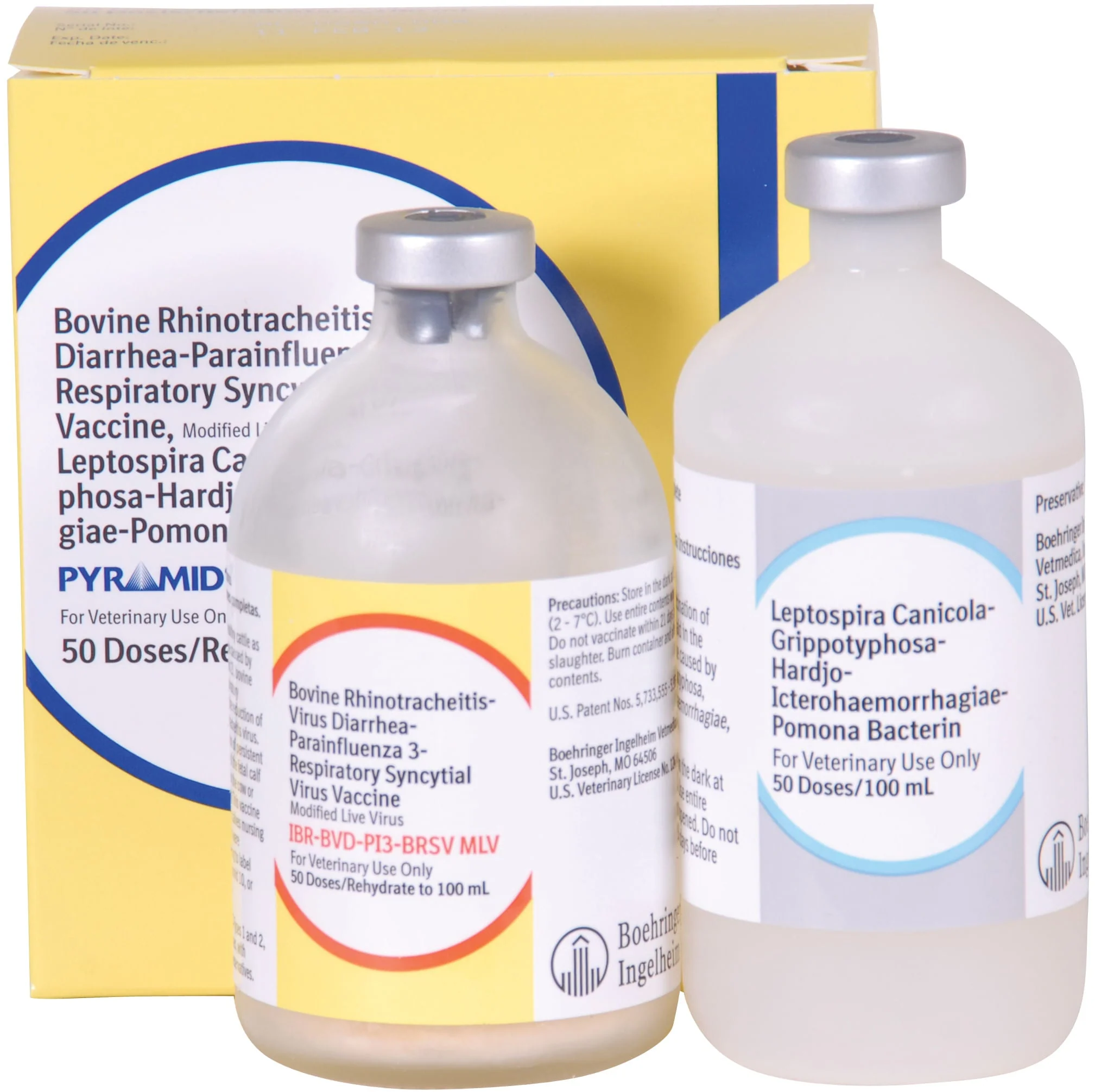 Pyramid 10 - Pet's Shop