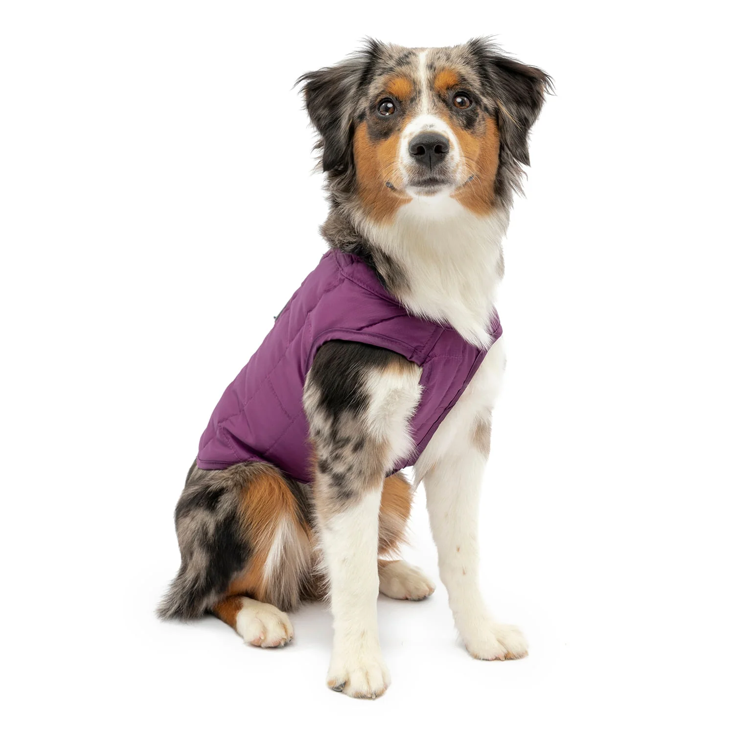 Kurgo Reversible Loft Jacket - Pet's Shop