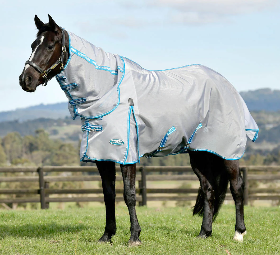 WeatherBeeta ComFITec Hexi Shield Combo Neck Fly Sheet - Pet's Shop