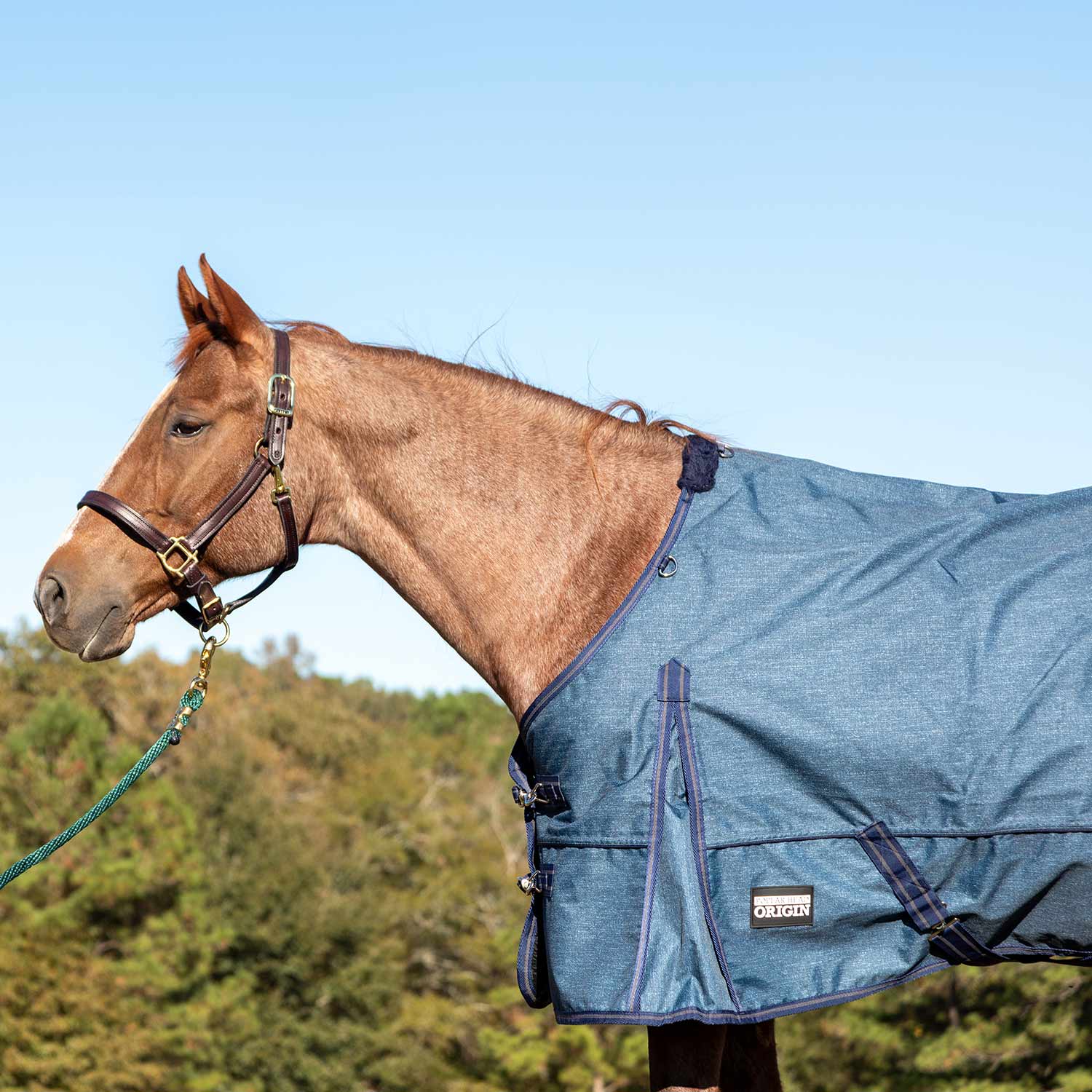 Poplar Head Origin 600 Denier Turnout Sheet, 0 Gram, Blue Jean Baby - Pet's Shop