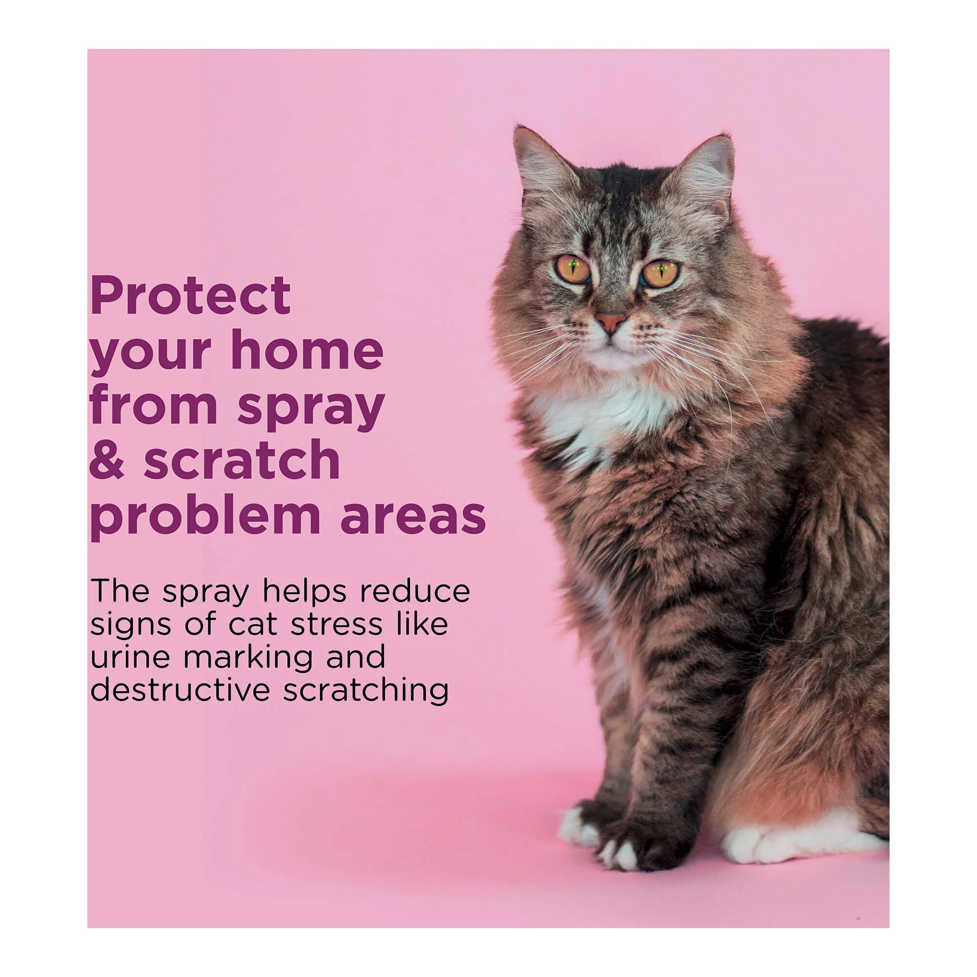 Comfort Zone Scratch Deterrent and Calming Spray - Pet's Shop