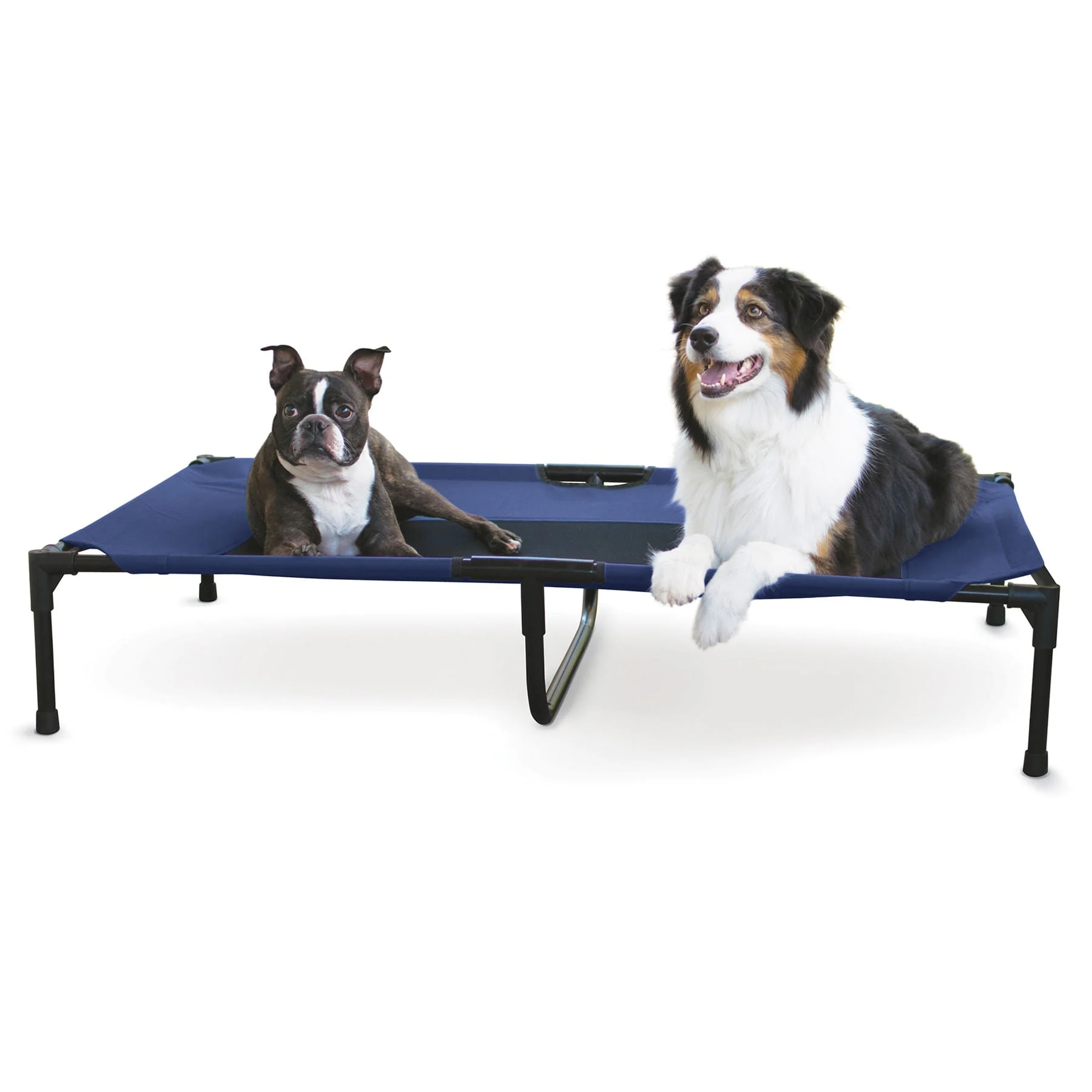 K&H Elevated Dog Bed, Small to X-Large - Pet's Shop