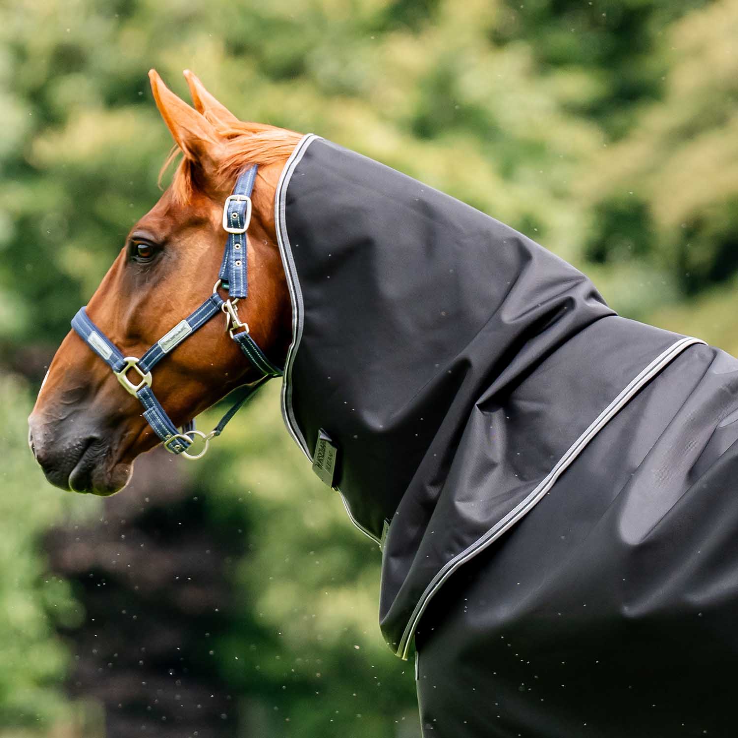 Rambo Supreme Vari-layer Turnout, 450 Gram, Black/Thunderstorm Grey - Pet's Shop