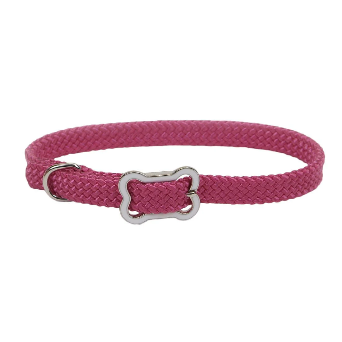 Sunburst Dog Collar with Bone Buckle - Pet's Shop