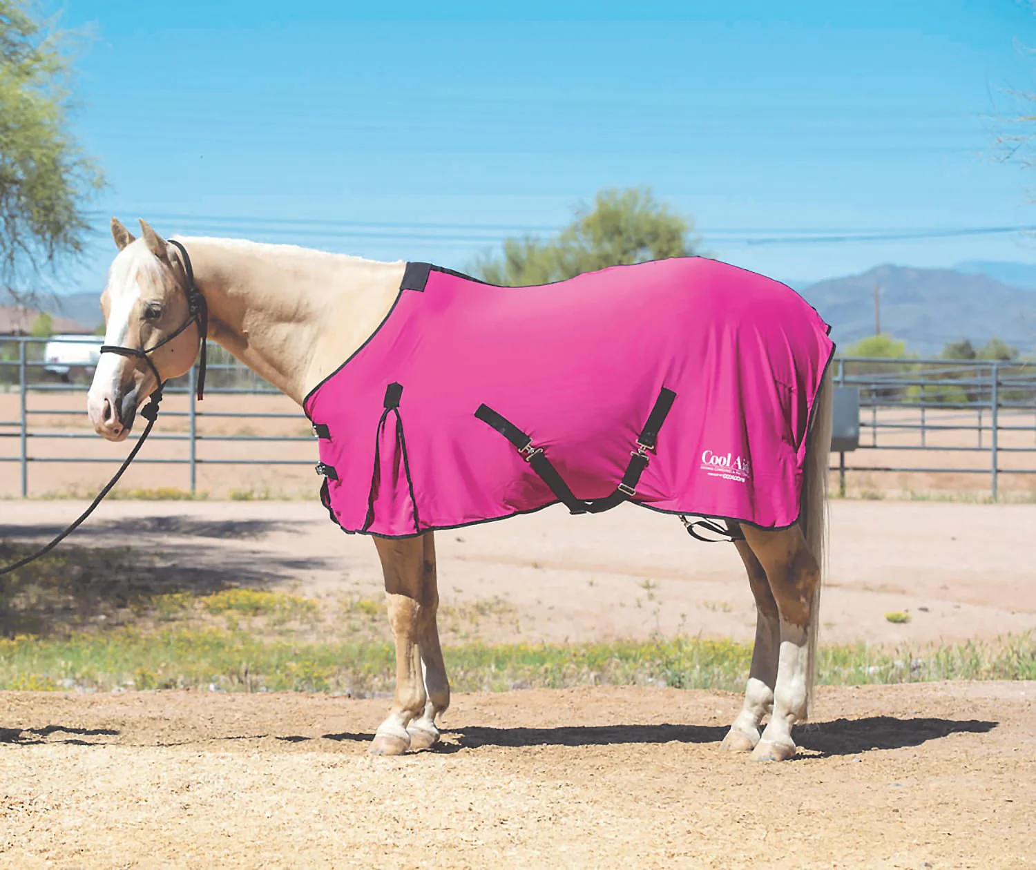 Coolcore Equine Cooling Blanket - Pet's Shop