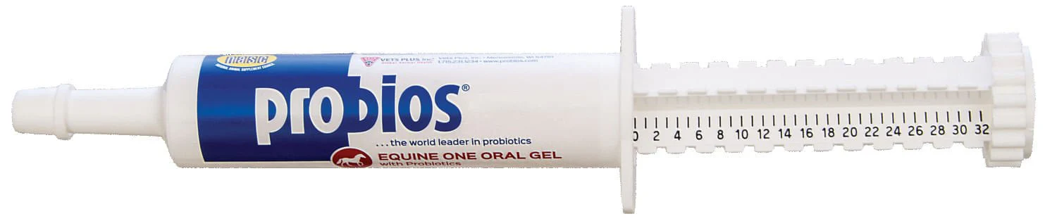 Probios Equine One 30gm - Pet's Shop
