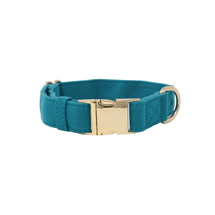 Pink Papyrus Hayden Collar, Teal - Pet's Shop
