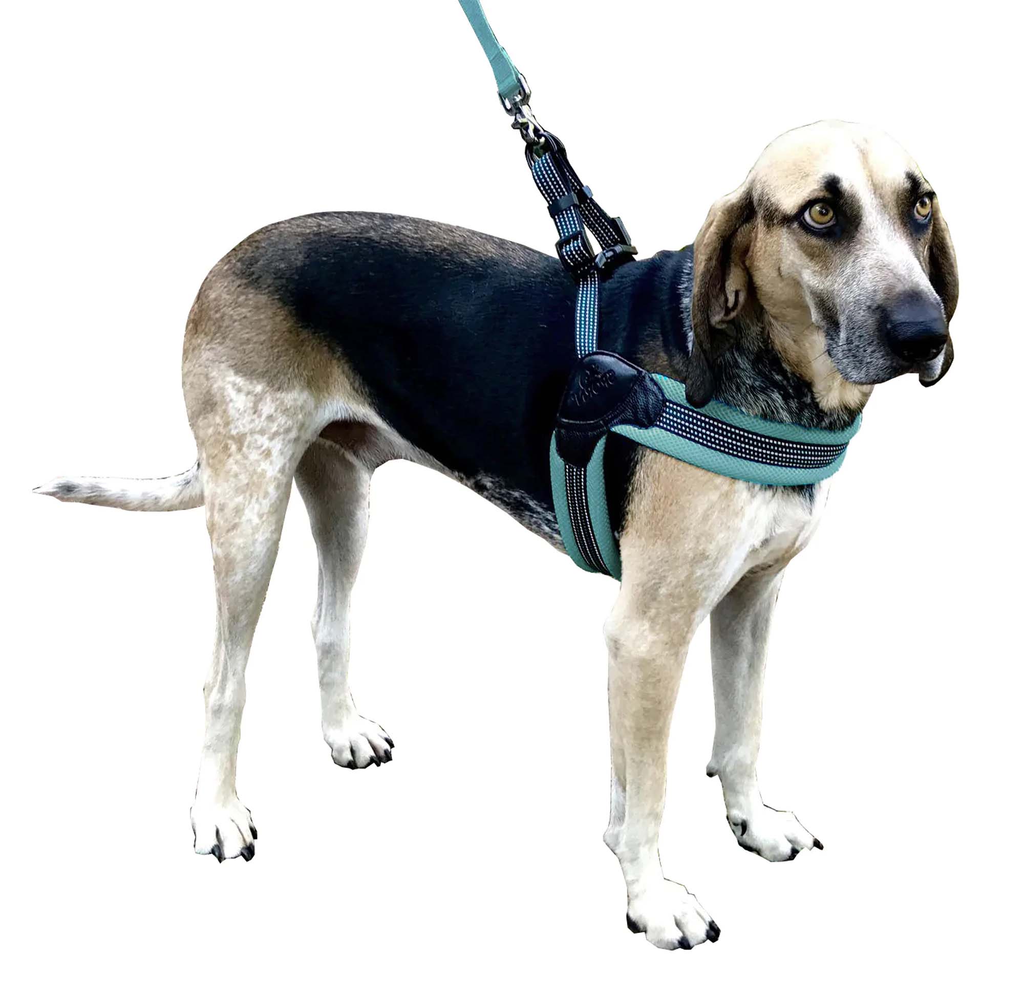 Sporn Easy Fit Mesh Harness, Blue - Pet's Shop